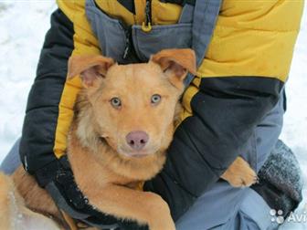 ,  , , ,     -,    (      ), ,    ,  