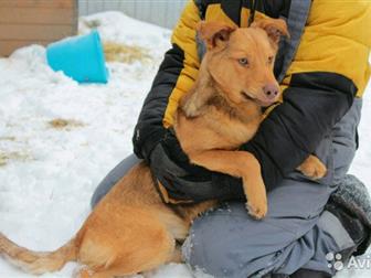 ,  , , ,     -,    (      ), ,    ,  