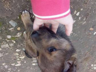       ,,        ,  -     7   14:00,  