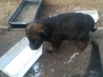   16, 09, 2019,      ,    ,  2 ,      ,  ,  