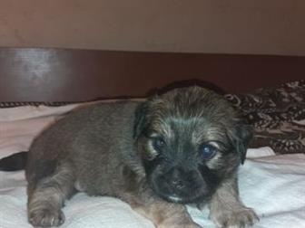  -   ,    ,   20, 09,       18,      15, 11,  