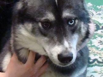   2,5  , ,      ,    -     