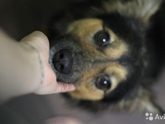     , ,     !  ,        ,      !!!  