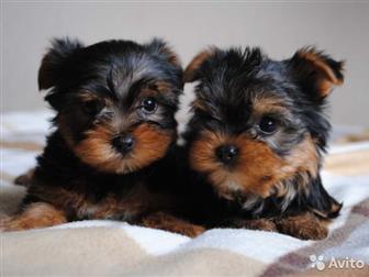 , , ,   ,  ,  ,     ,  