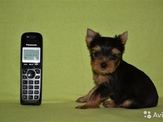      20   ,      ,   9 ,    ,  ,  ,    