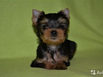      20   ,      ,   9 ,    ,  ,  ,    