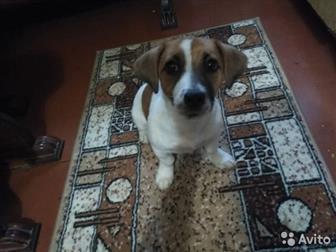   --,   4  2 ,  12, 06, 2019   ,          ,  