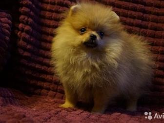    ,   ,        ,  ,,,,  