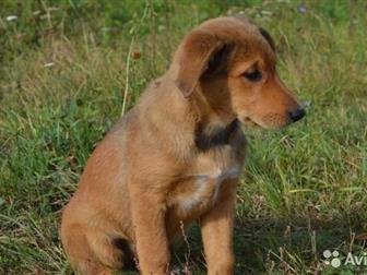  ! ,    ,    3 ,   ,  , ,   ,  