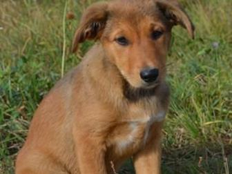  ! ,    ,    3 ,   ,  , ,   ,  