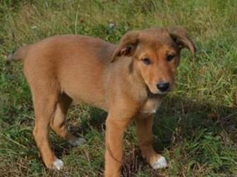  ! ,    ,    3 ,   ,  , ,   ,  