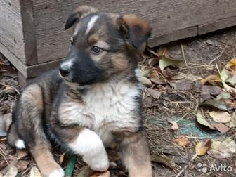   - 2 ,   ,    ,    ,   ,     ,     