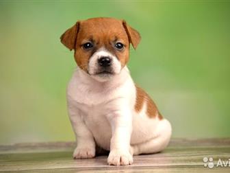     , ,      ,  17, 07, 19,  ,, ,  