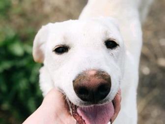     ,       ,   ,  ,   ,  