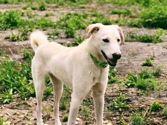     ,       ,   ,  ,   ,  