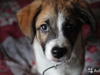  , 3 ,    (    ),    : ,  , , ,       