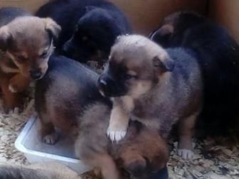     6     -,  4 , 2 ,   1, 5 ,   , , , ,   