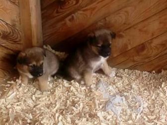     6     -,  4 , 2 ,   1, 5 ,   , , , ,   