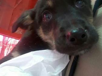     6     -,  4 , 2 ,   1, 5 ,   , , , ,   