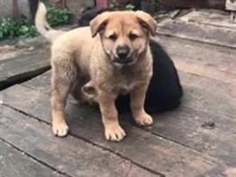          ( - 3,5 ),   , ,  ,   ,   