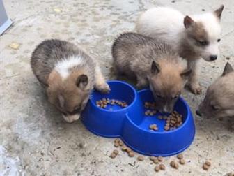   ,   ,    ,    03, 09, 19  4 ,  