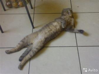   ,    ,  -    ,  , ,  5-6 ,   ,  