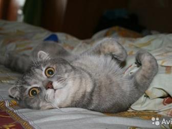   ,    ,  -    ,  , ,  5-6 ,   ,  