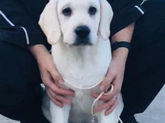  Starsearcher      ,         !       