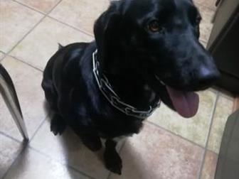  2,5  ,   !    ,   (),      !!!  