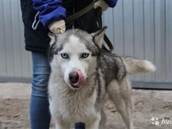     ,   1,5 , ,  , -,      ,     ! ,  