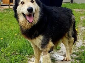      - , 1 , ,    ,      , , ,  