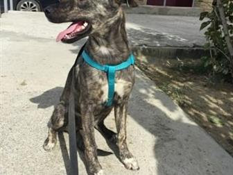 ,     ,  1 ,  ,         ,    ,      