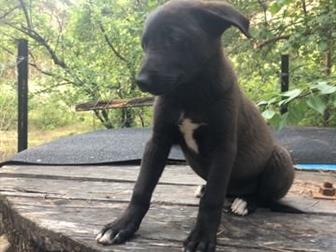      3-4 ,  ,  , ,  ,       ,       