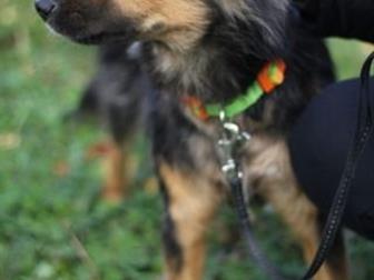 ,  1 ,    ,          ,     !!       ,  