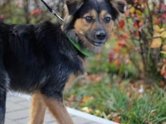 ,  1 ,    ,          ,     !!       ,  