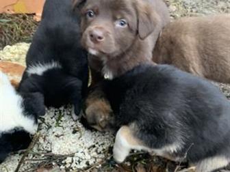  -   ,   2 ,   ,    ,     