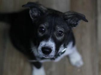         !   ,   ,     -    ,    , ,  