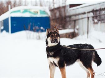 , 1,2 , , ,           (      ),  ,  