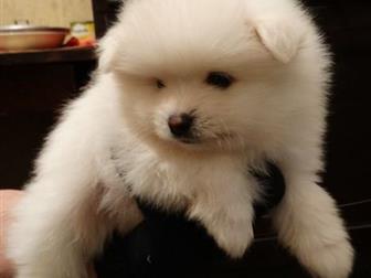      ,   27  2019 ,  5   1 ,   - ,   ,    ,  