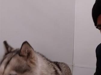 : , 3   ,          3,         