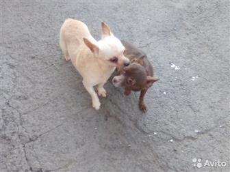   ,     ,   ,    ,   ,  3 ,  ,  