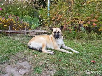       ,    1, 5 , ,   //,  , ,  ,   ,  