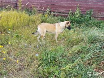       ,    1, 5 , ,   //,  , ,  ,   ,  