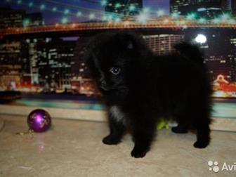         ,    ,         ???? , ,  