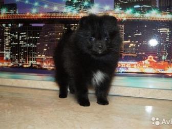         ,    ,         ???? , ,  