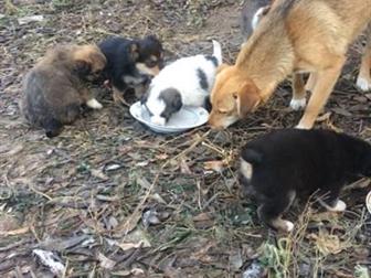      6 ,     ,    , , ,   ,       ,    