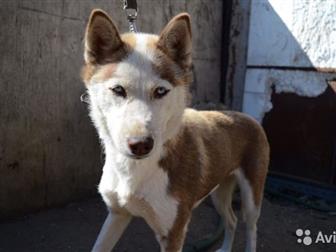    !!!,    ,   ,  , ,   ,        -  