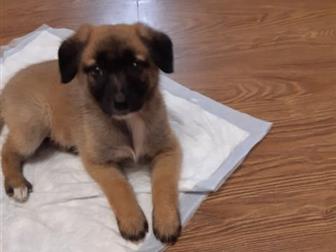      2-3 ,       ,     1 ,   ,  