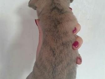 - ,   ,    , ,  -,    ,     ,     :    