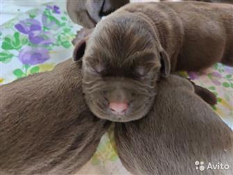   ,  10, 12, 19    ,   ,        ,     ,  3  4  ,    